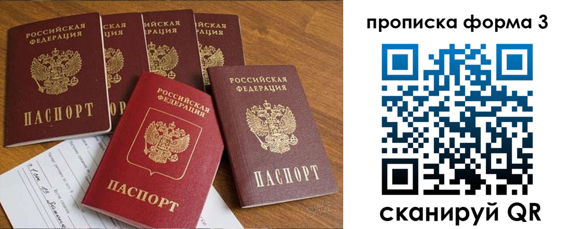 прописка 2025 в Брянске